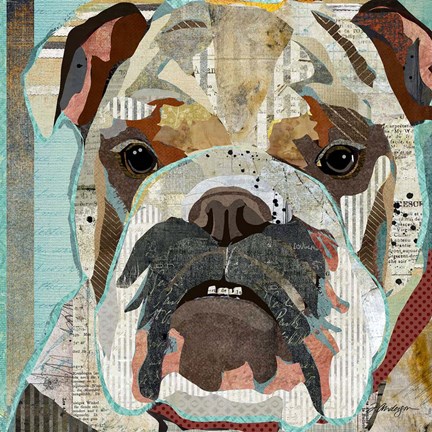Framed English Bulldog Print