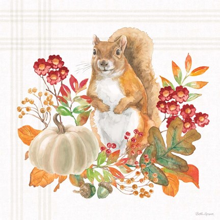 Framed Wooded Harvest III Print