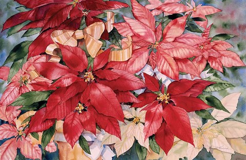 Framed Poinsettia Print