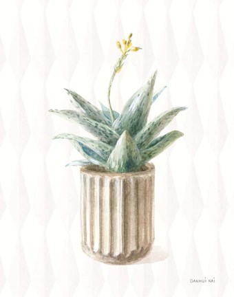 Framed Desert Greenhouse XX Print