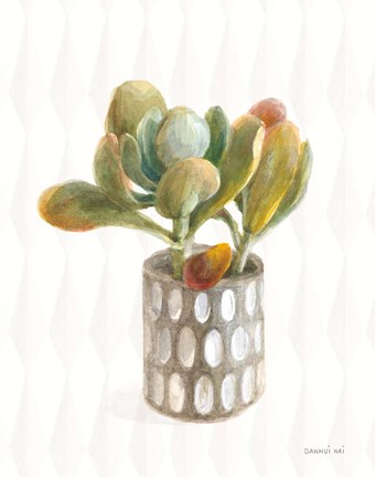 Framed Desert Greenhouse XIV Print