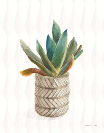 Framed Desert Greenhouse XIII Subtle Print