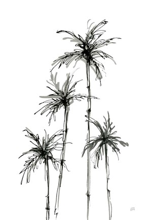 Framed Shadow Palms III Print