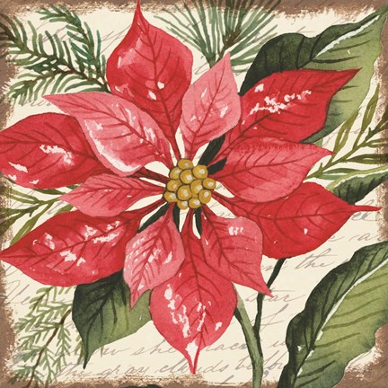 Framed Red Poinsettia Botanical Print