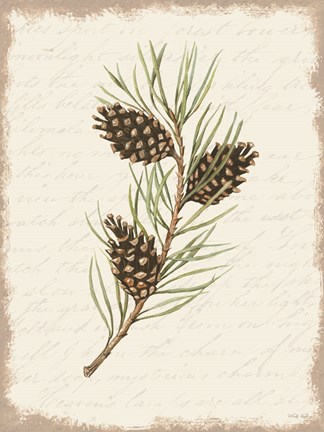 Framed Pine Cone Botanical I Print