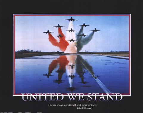 Framed Patriotic-United We Stand Print