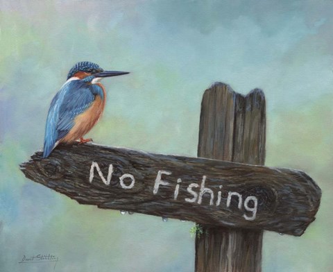 Framed Kingfisher No Fishing Print