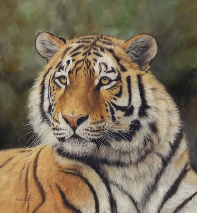 Framed Tiger Portrait 6 Print