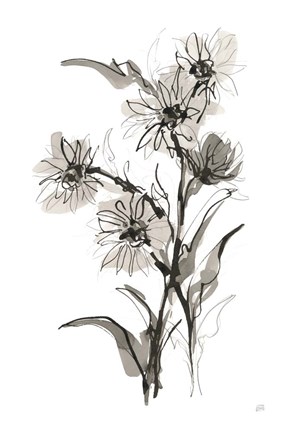 Framed Daisy II Print