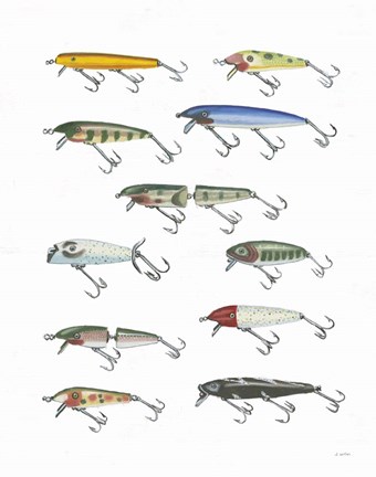 Framed Fresh Catch IV Print