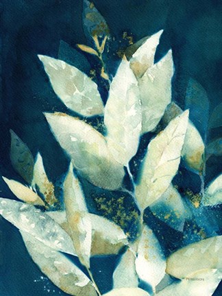 Framed Shower of Gold II Print