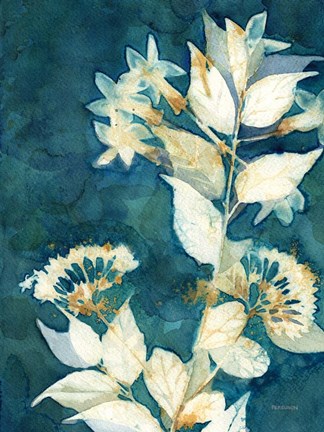 Framed Shower of Gold I Print