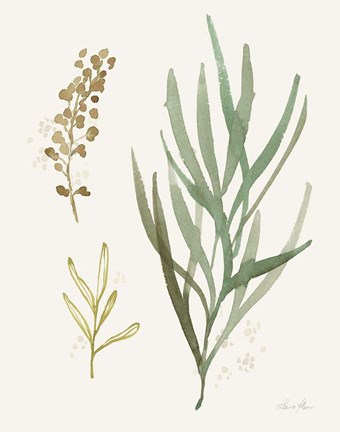 Framed Leaf and Stem III Print