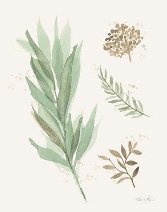 Framed Leaf and Stem I Print