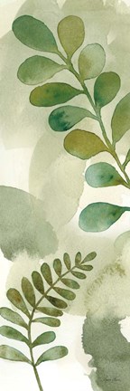 Framed Woodland Walk X Print