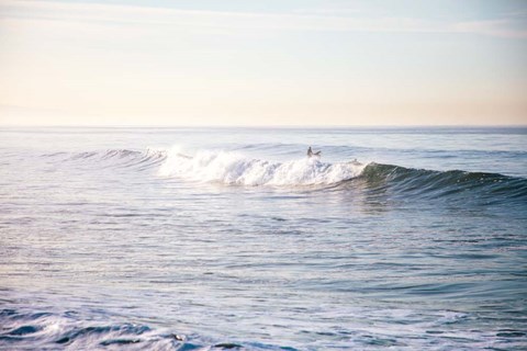 Framed Santa Monica Beach IV Print