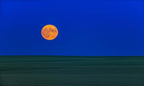 Framed Full Moonrise, Alberta, Canada Print