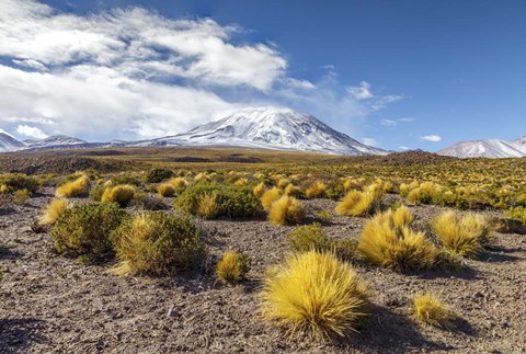 Framed Lascar Volcano in Chile Print