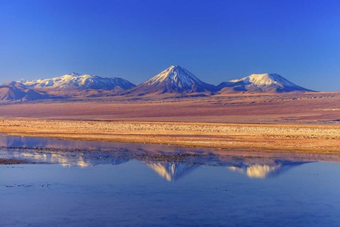 Framed Licancabur Stratovolcano Reflected in Laguna Tebinquinche, Chile Print