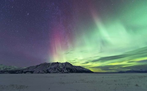 Framed Northern Lights Over Kluane Lake, Yukon, Canada Print