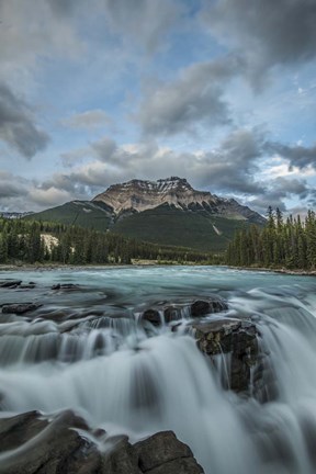 Framed Athabasca Falls, Alberta, Canada Print