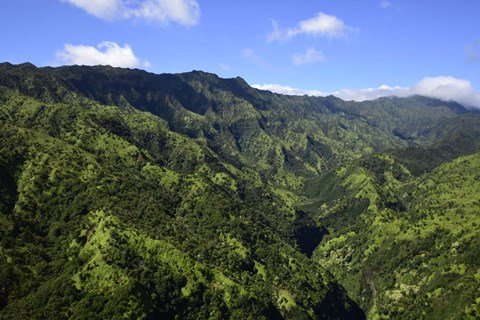 Framed Aerial View Of Koloa, Hawaii Print