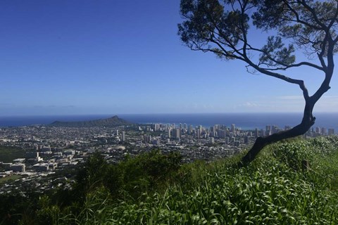 Framed View from Tantalus Lookout Overlooking Honolulu, Oahu, Hawaii Print