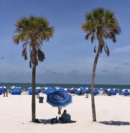 Framed Umbrella, Chairs and Palm Trees Print