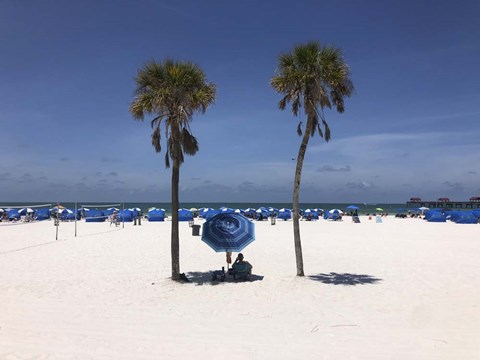 Framed Umbrella, Chairs and Palm Trees on Clearwater Beach, Florida Print
