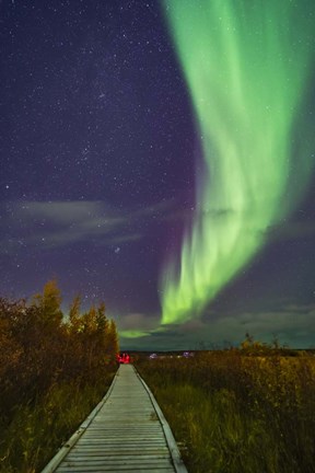 Framed Auroral Arc Over the Boardwalk at Rotary Park in Yellowknife Print