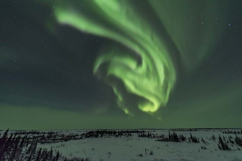 Framed Swirls of Auroral Curtains in the Northeast Sky, Churchill Print