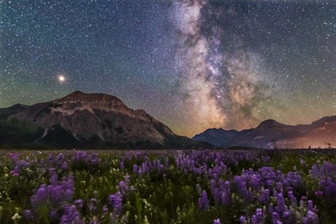 Framed Summer Milky Way and Mars Over Waterton Valley and Vimy Peak Print