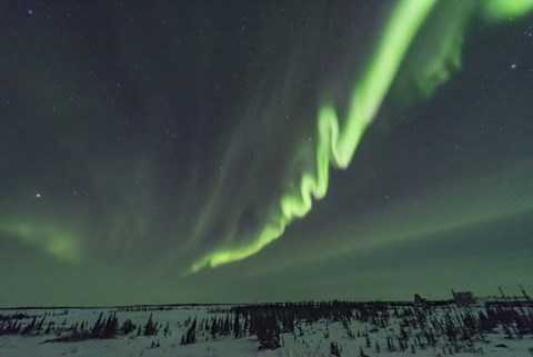 Framed Auroral Curtain Over Churchill, Manitoba Print