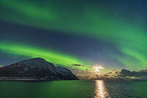Framed Auroral Curtains Along the Norwegian Coast Print
