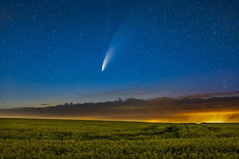 Framed Comet NEOWISE Over a Ripening Canola Field in Southern Alberta Print