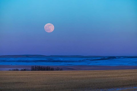 Framed Rising Full Moon Over the Alberta Prairie Print