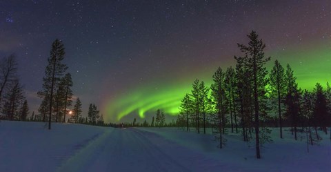 Framed Northern Lights in Lapland Forest, Finland Print