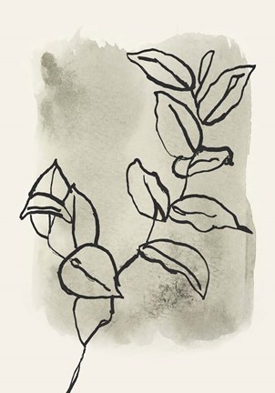 Framed Branch Sketch Print