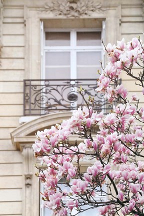 Framed Spring Magnolias in Paris Print