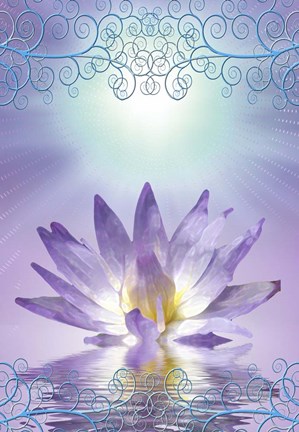 Framed Lotus With Decorative Edging Print