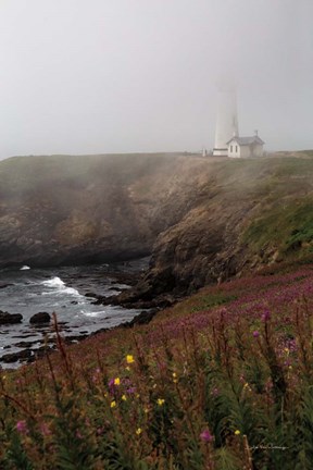 Framed Coastal Fog IV Print