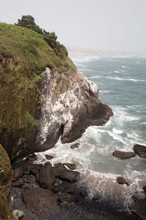Framed Coastal Fog III Print