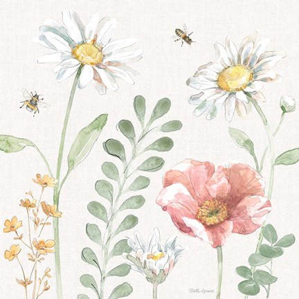 Framed Daisy Days III Print