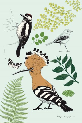 Framed Nature Chart II Print