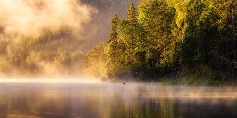 Framed Enjoying Nature Print