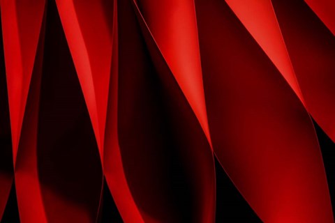 Framed Foramina Print