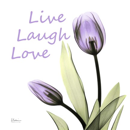 Framed Live Laugh Love Print