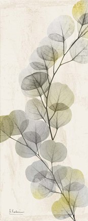 Framed Golden Flaked 2 Print