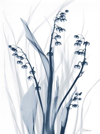 Framed Radiant Blues 2 Print