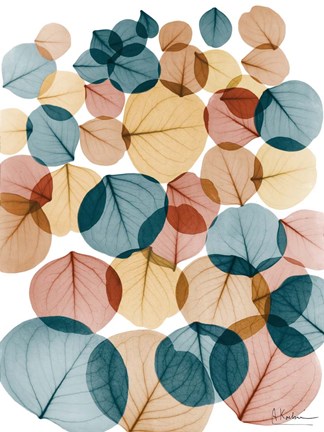 Framed Urban Baybean Leaves Print